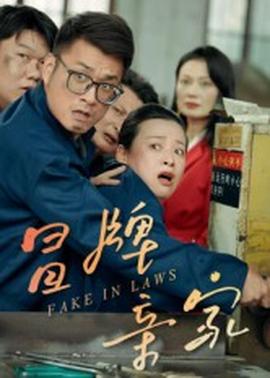 冒牌亲家封面图